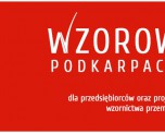 Konkurs wzorniczny WZOROWE PODKARPACKIE